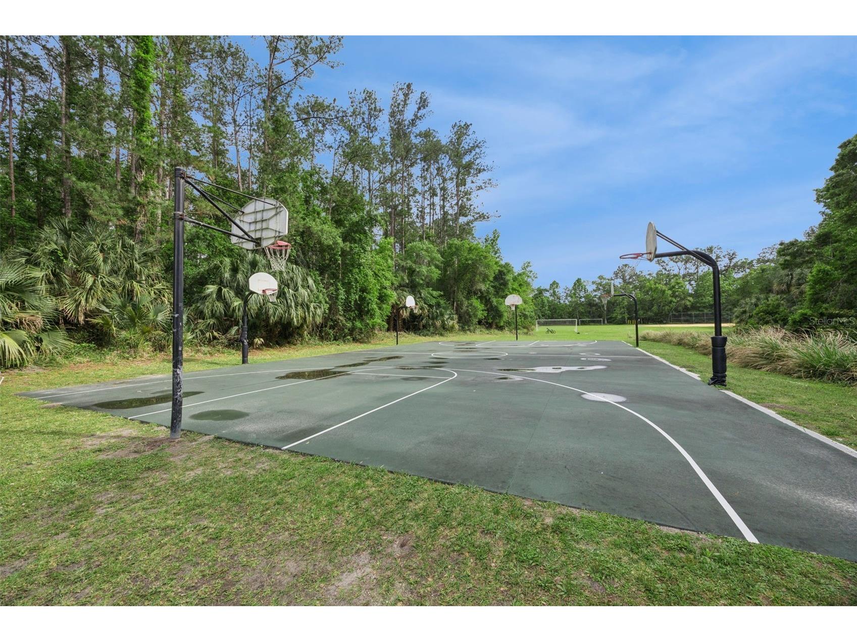 700 Blue Lake Drive Longwood FL 32779 - LAKE BRANTLEY AND WEKIVA RIVER O6411965 image53