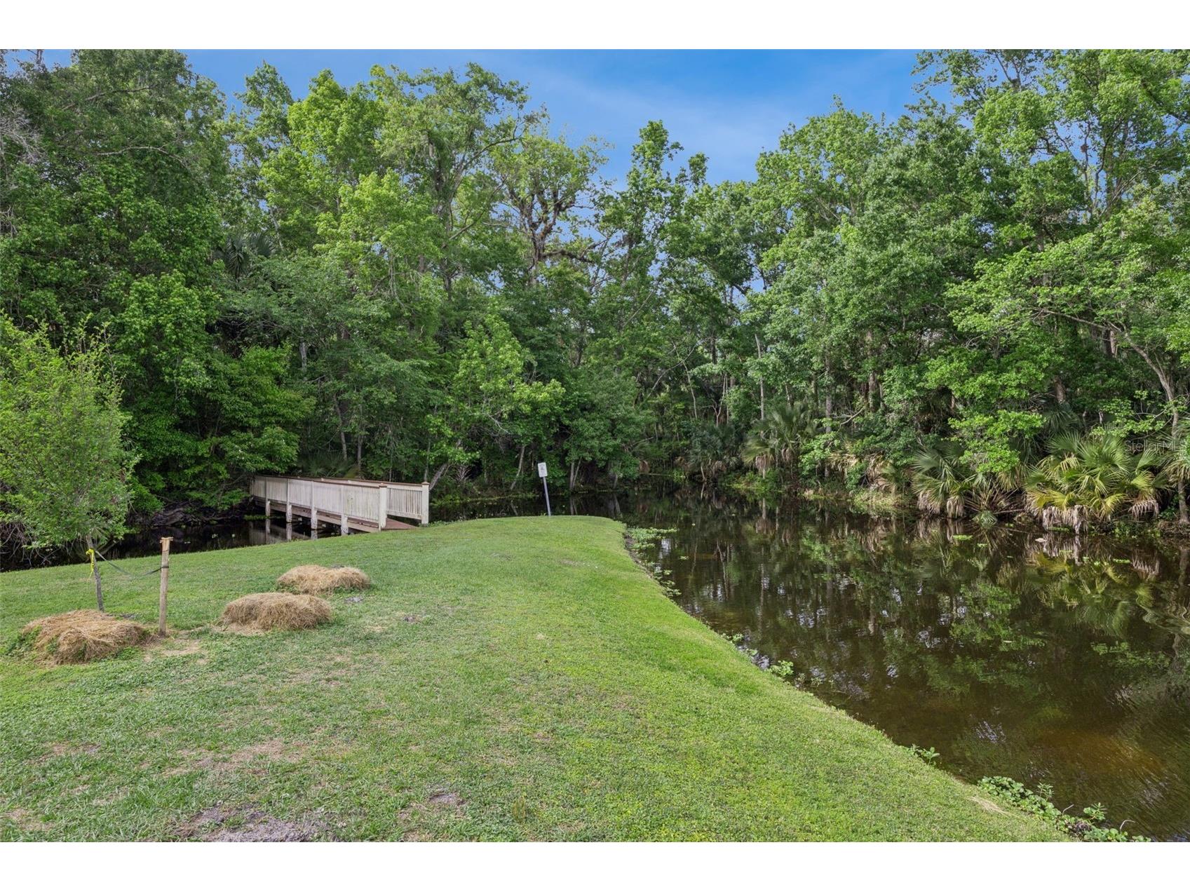 700 Blue Lake Drive Longwood FL 32779 - LAKE BRANTLEY AND WEKIVA RIVER O6411965 image58