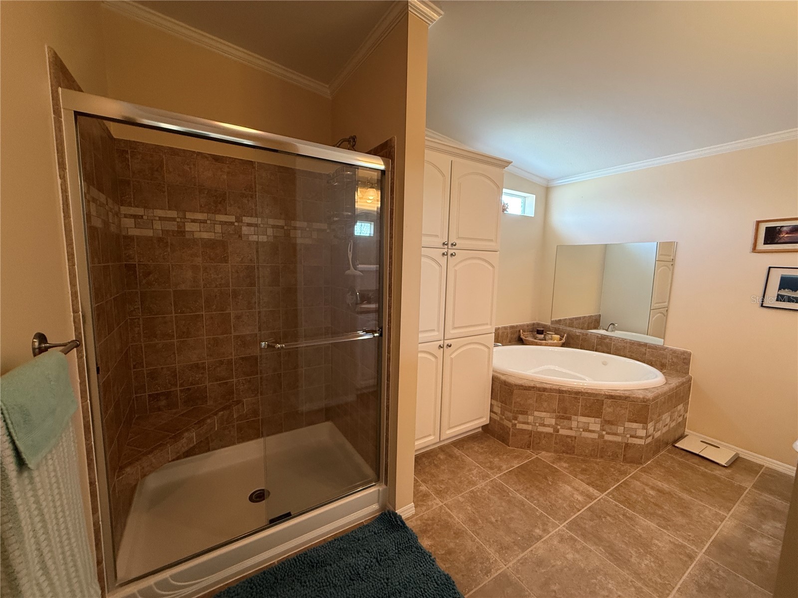 700 Dahlia Drive Venice FL 34293 N6144510 image10