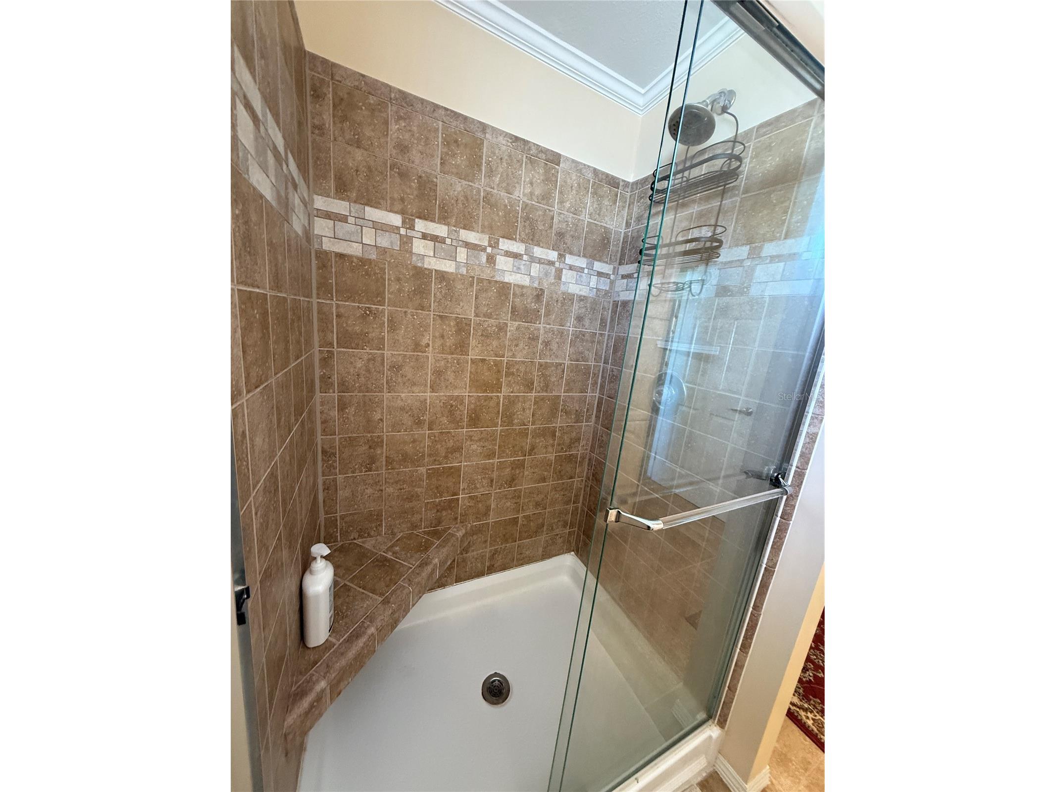 700 Dahlia Drive Venice FL 34293 N6144510 image19