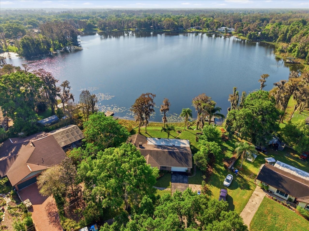 700 Druid Way Lutz FL 33548 - N CRYSTAL LAKE TB8491935 image2