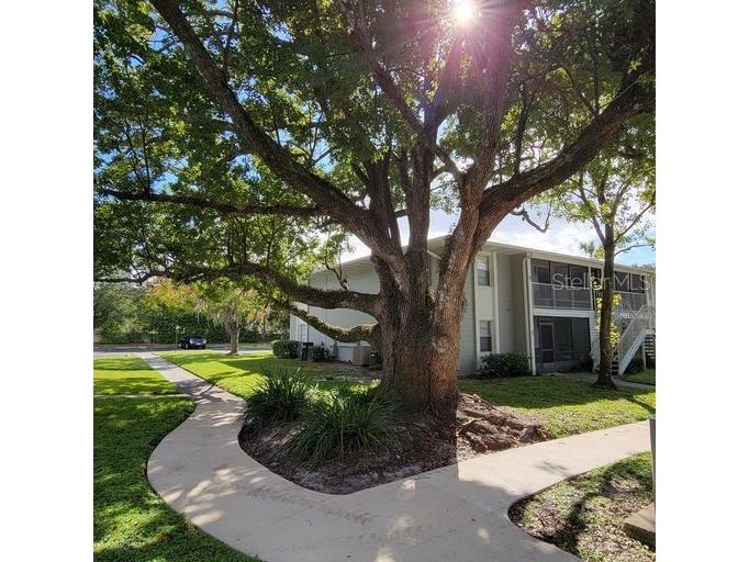 700 E Airport Boulevard #B8 Sanford FL 32773 O6333089 image18