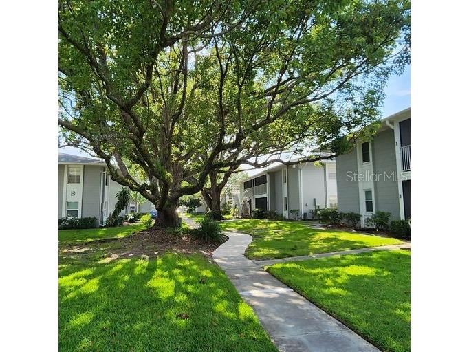 700 E Airport Boulevard #B8 Sanford FL 32773 O6333089 image20