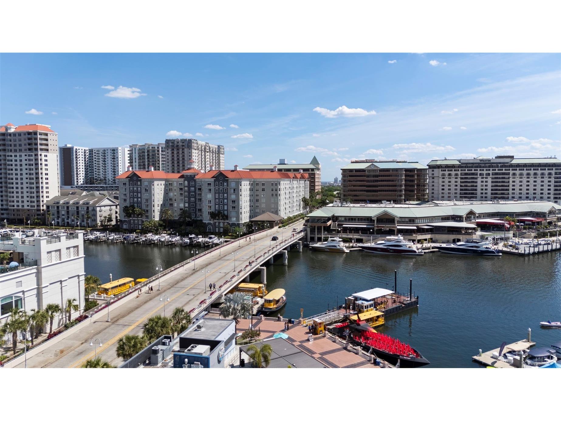 700 Harbour Island #238 Tampa FL 33602 TB8484662 image30