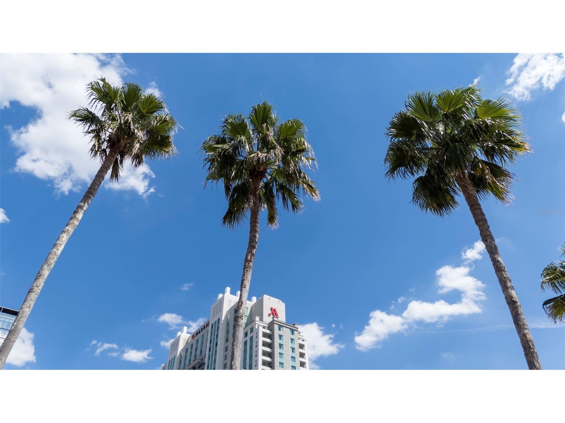 700 Harbour Island #238 Tampa FL 33602 TB8484662 image38