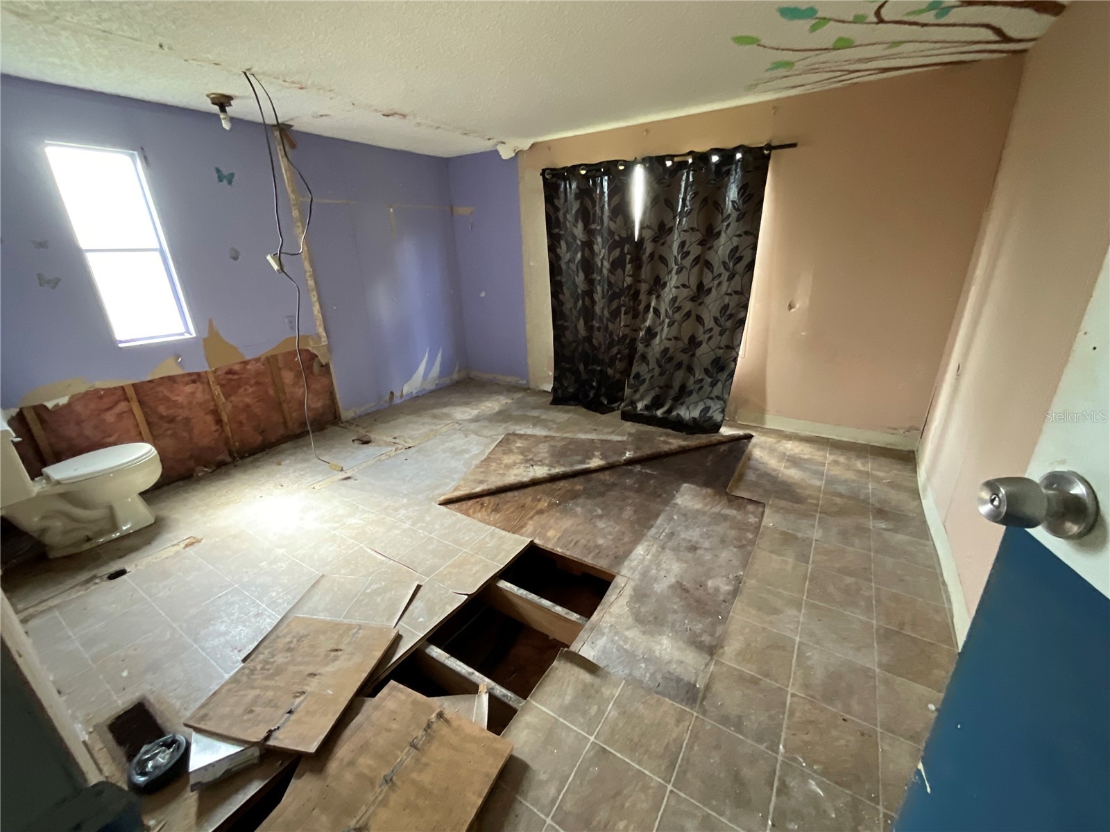 700 Jersey Court Dundee FL 33838 C7521678 image50