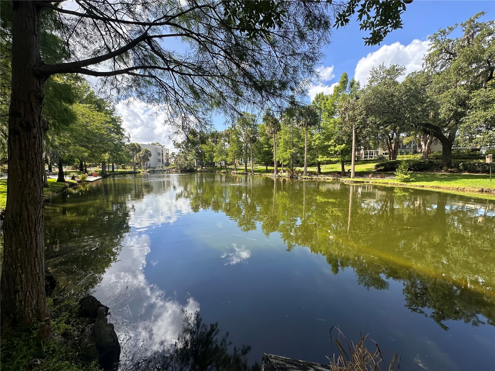 700 Melrose Avenue #H4 Winter Park FL 32789 O6409318 image36