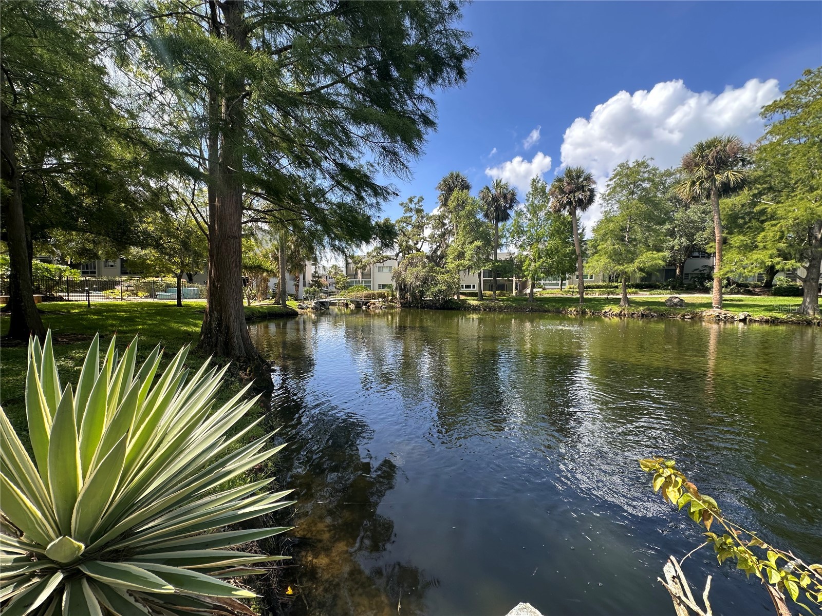 700 Melrose Avenue #H4 Winter Park FL 32789 O6409318 image41