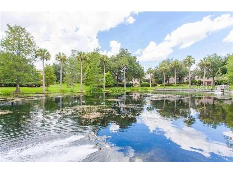 700 Melrose Avenue #K25 Winter Park FL 32789 O6414821 image23