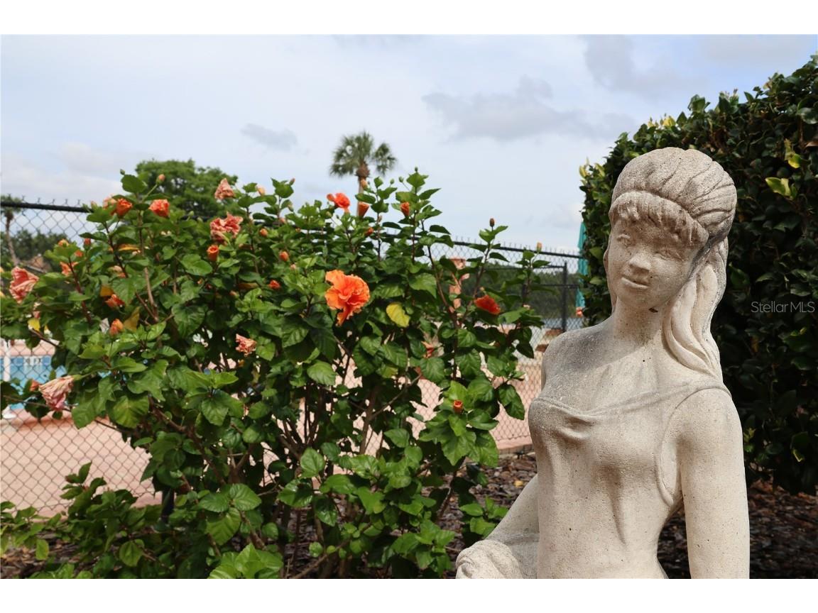 700 Mirror Terrace NW #303 Winter Haven FL 33881 - Spring Lake P4934745 image27