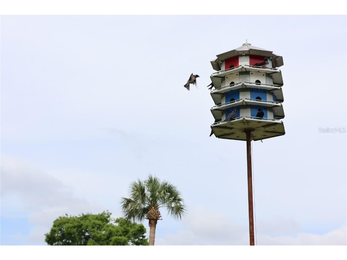 700 Mirror Terrace NW #303 Winter Haven FL 33881 - Spring Lake P4934745 image32