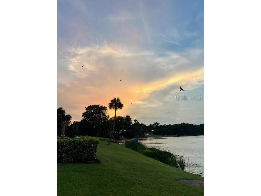 700 Mirror Terrace NW #505 Winter Haven FL 33881 - Spring Lake TB8445379 image17