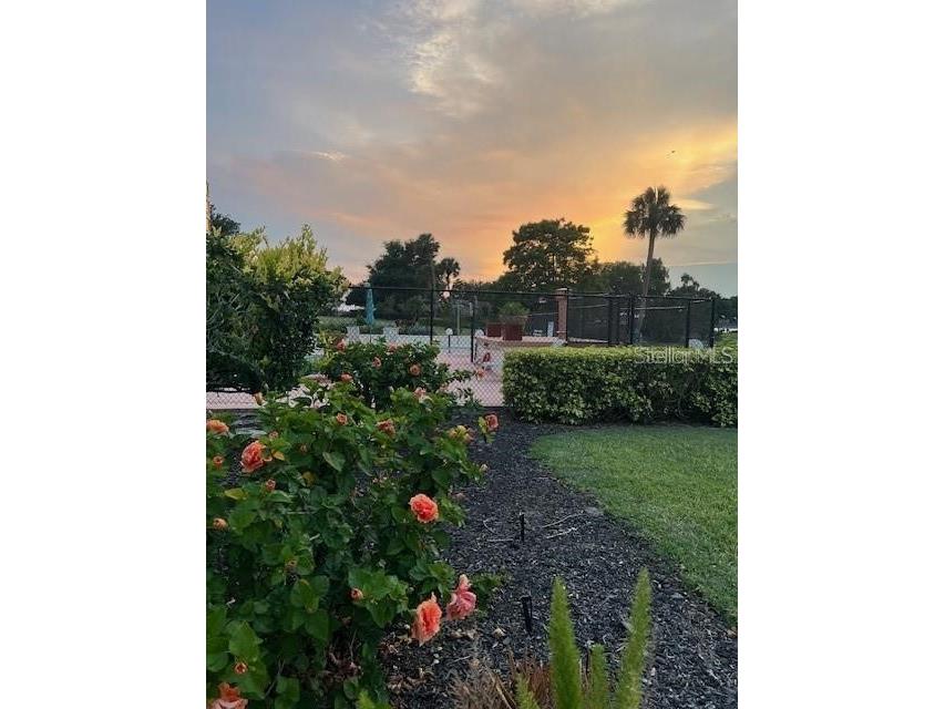 700 Mirror Terrace NW #505 Winter Haven FL 33881 - Spring Lake TB8445379 image59