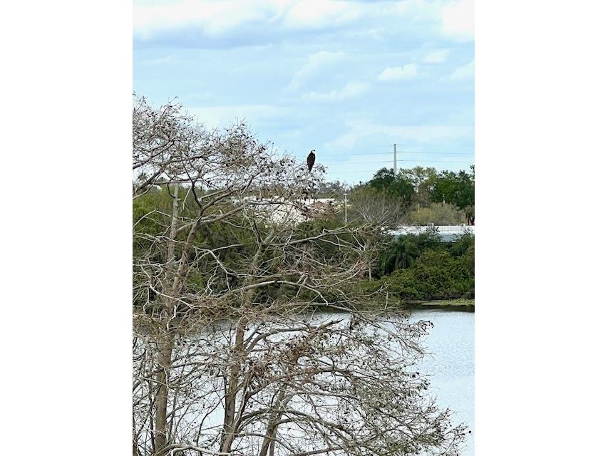 700 Mirror Terrace NW #507 Winter Haven FL 33881 - LAKE SPRING B4902266 image41
