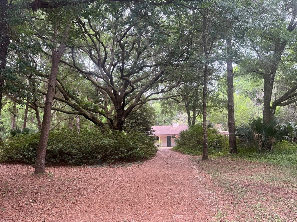 700 NE 125 Terrace Silver Springs FL 34488 OM656009 image1