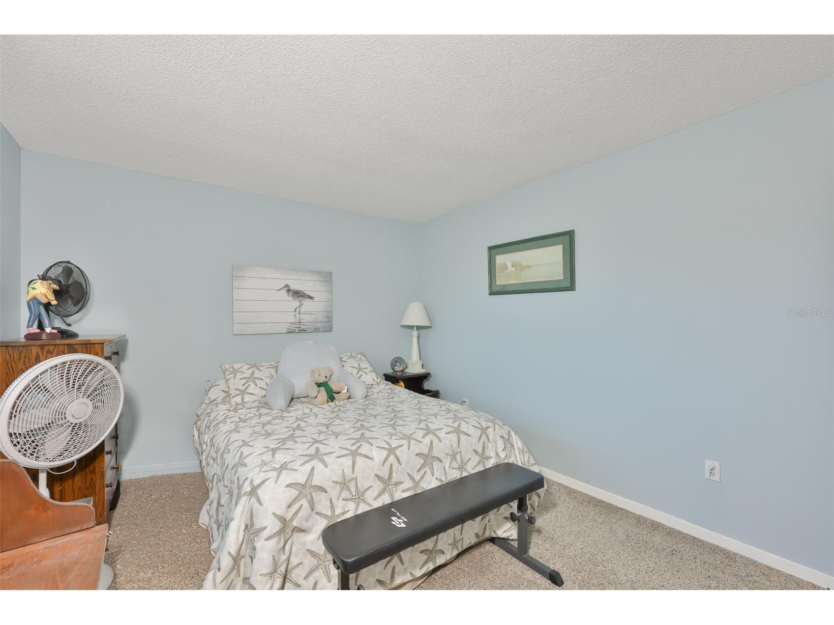 700 Rutgers Place Sun City Center FL 33573 TB8503707 image9