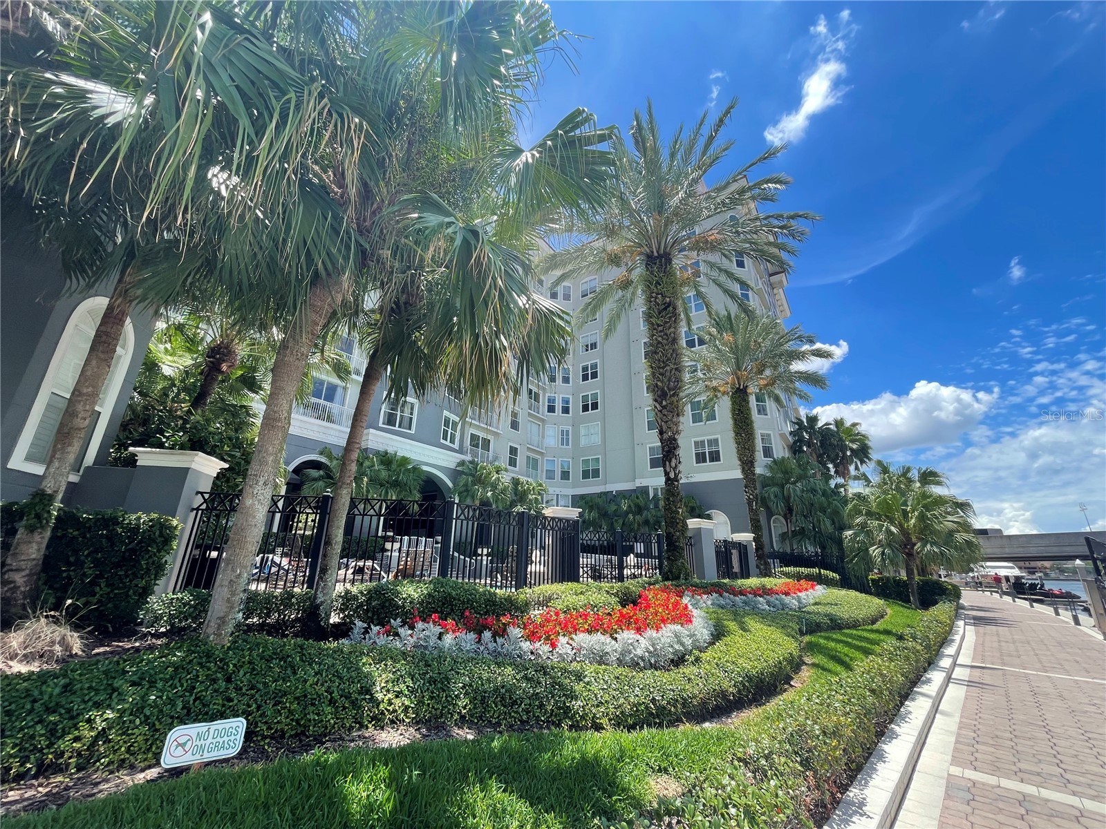 700 S Harbour Island Boulevard #110 Tampa FL 33602 TB8513206 image1
