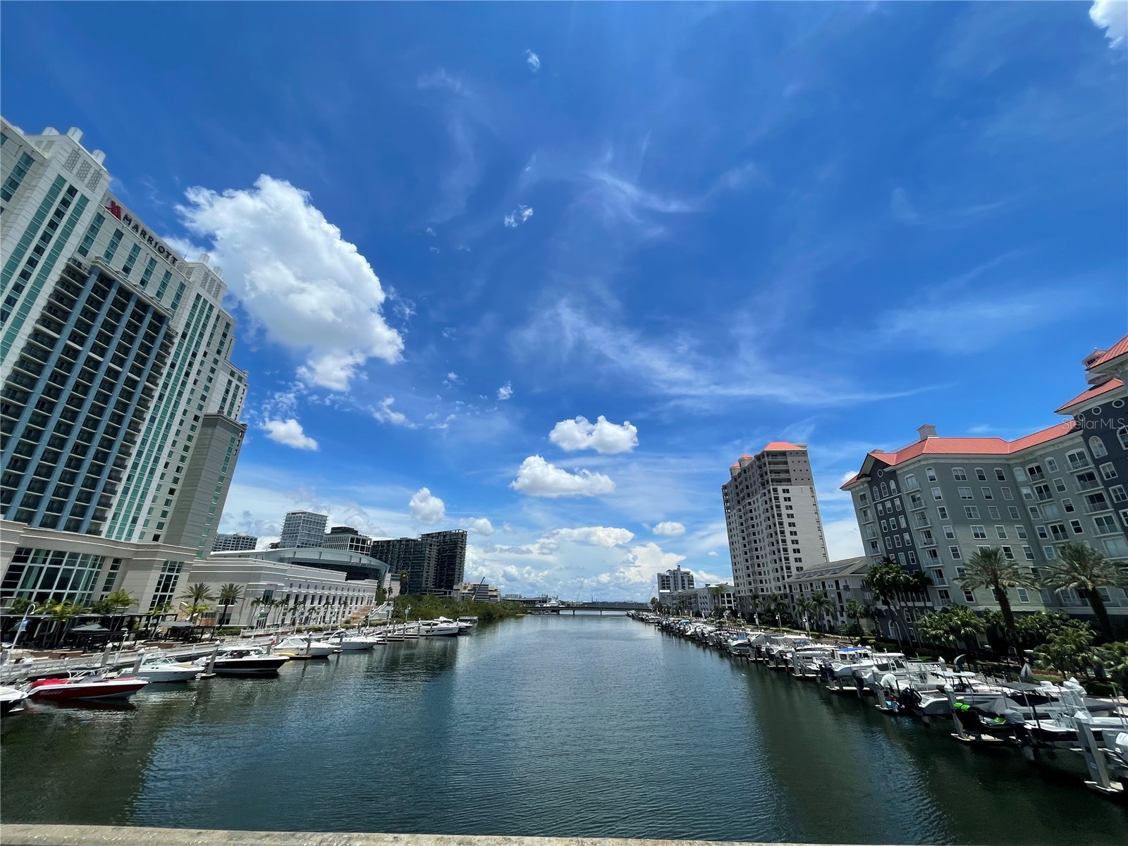 700 S Harbour Island Boulevard #110 Tampa FL 33602 TB8513733 image6