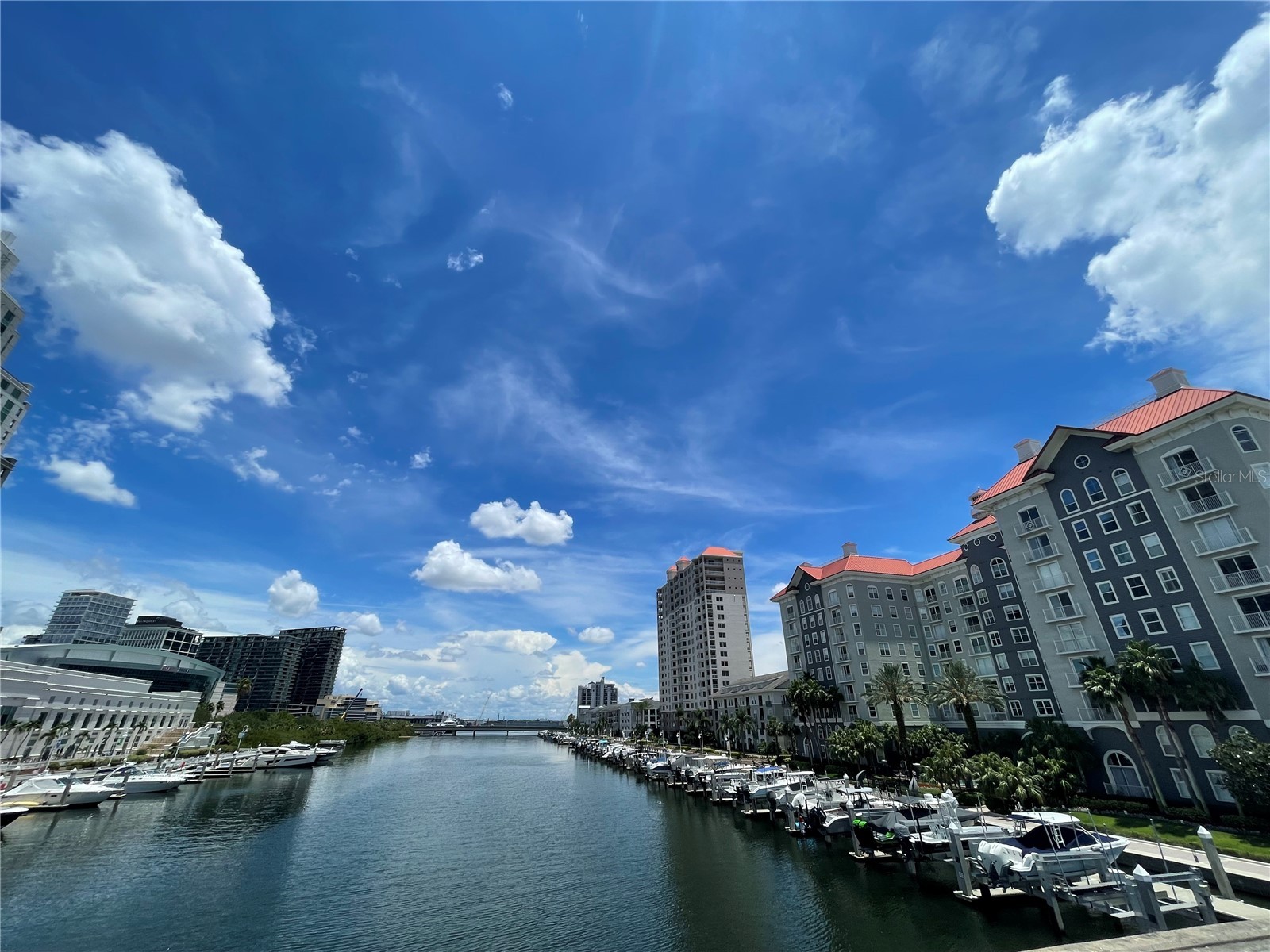 700 S Harbour Island Boulevard #110 Tampa FL 33602 TB8513733 image9