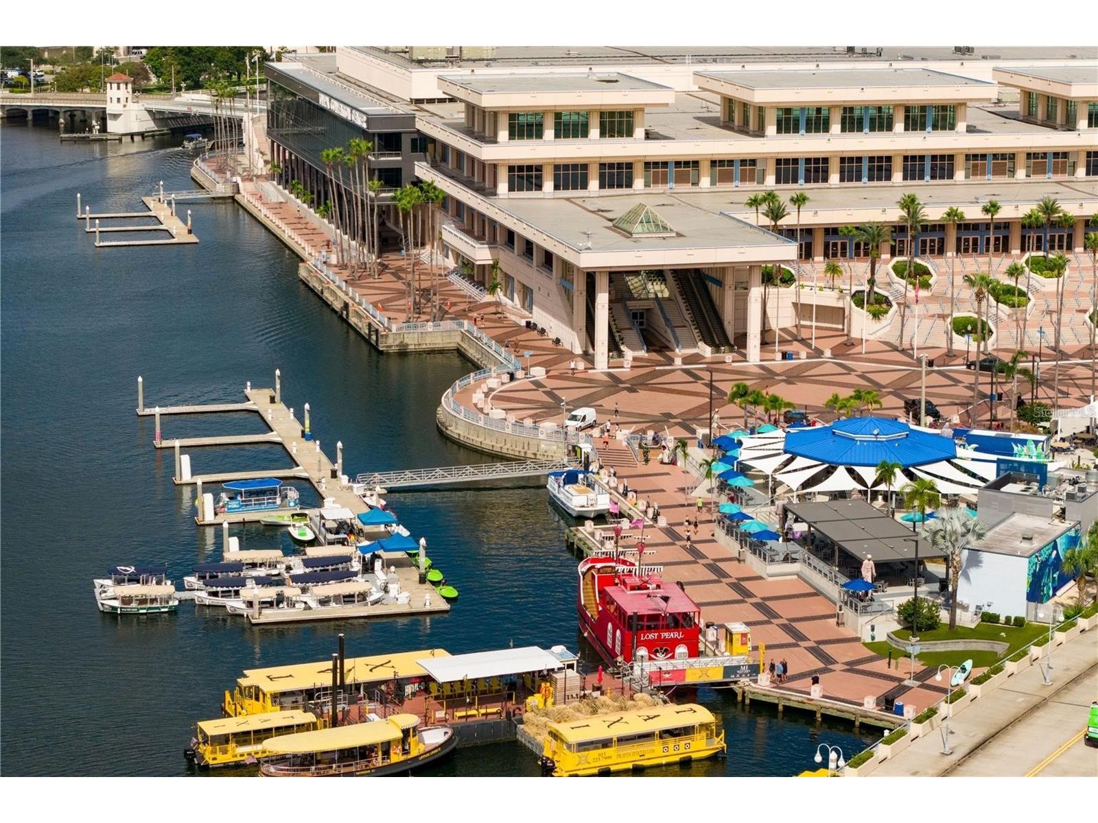 700 S Harbour Island Boulevard #137 Tampa FL 33602 TB8507024 image44