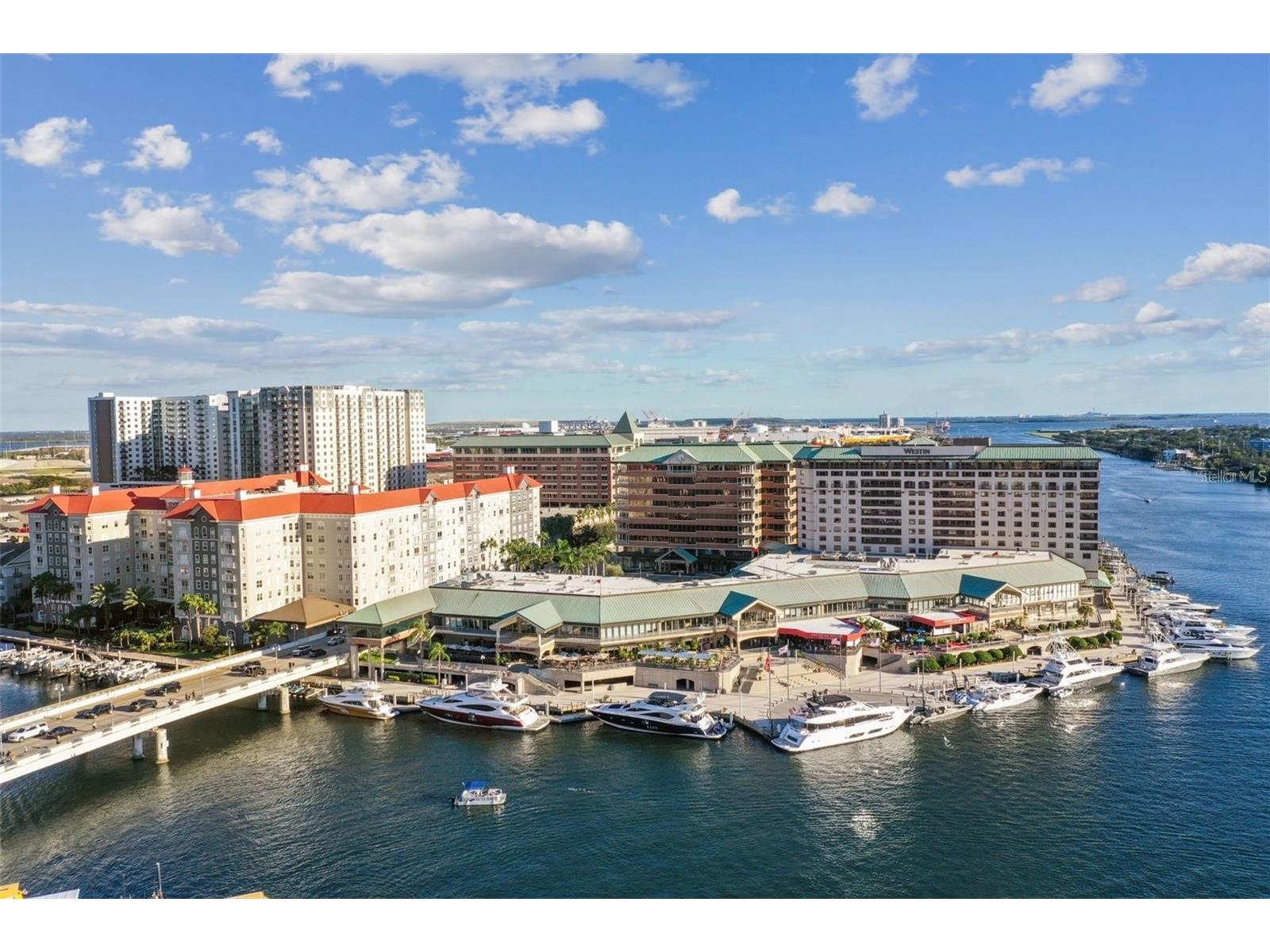 700 S Harbour Island Boulevard #137 Tampa FL 33602 TB8507024 image45