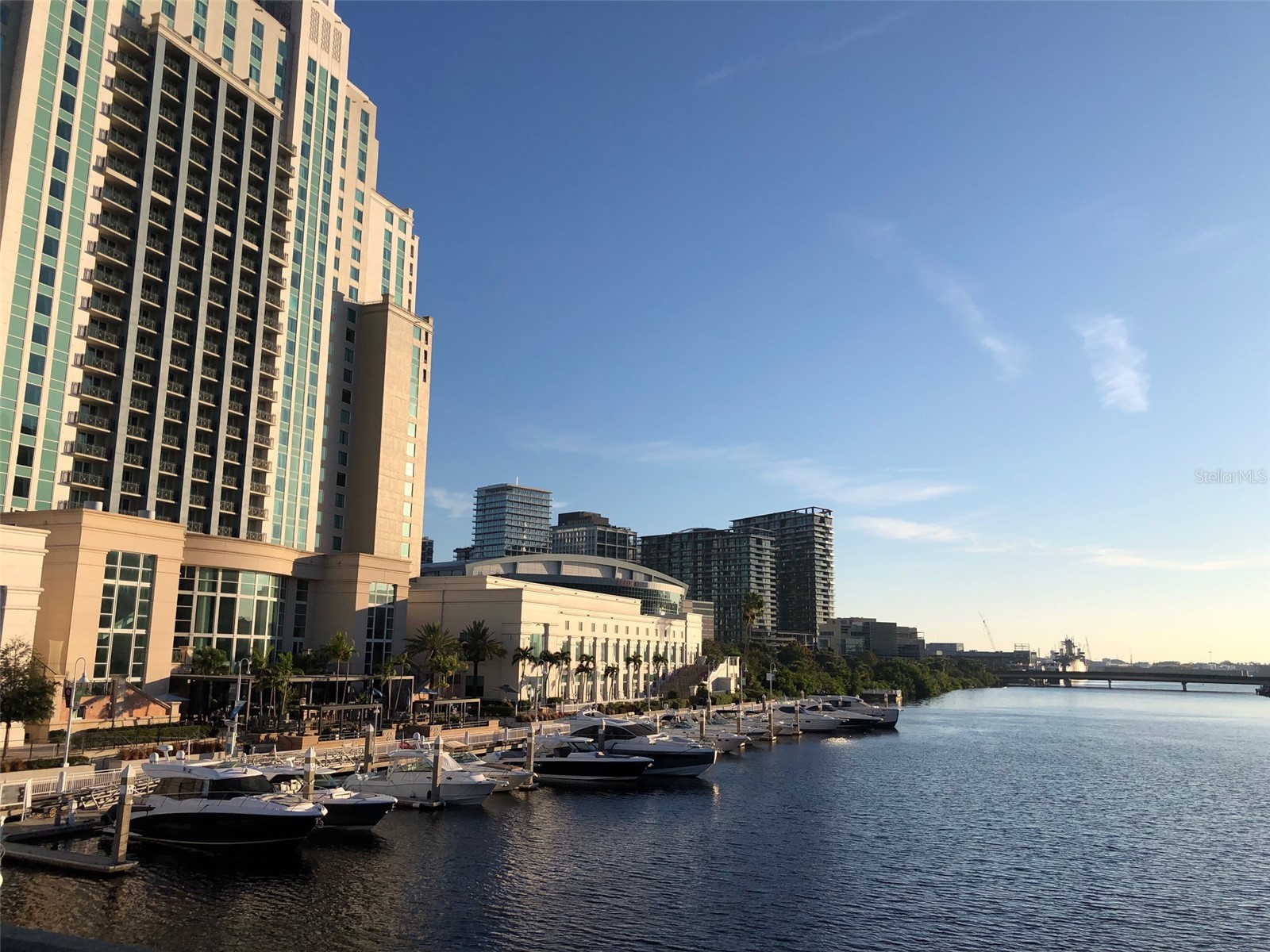 700 S Harbour Island Boulevard #147 Tampa FL 33602 TB8513330 image38