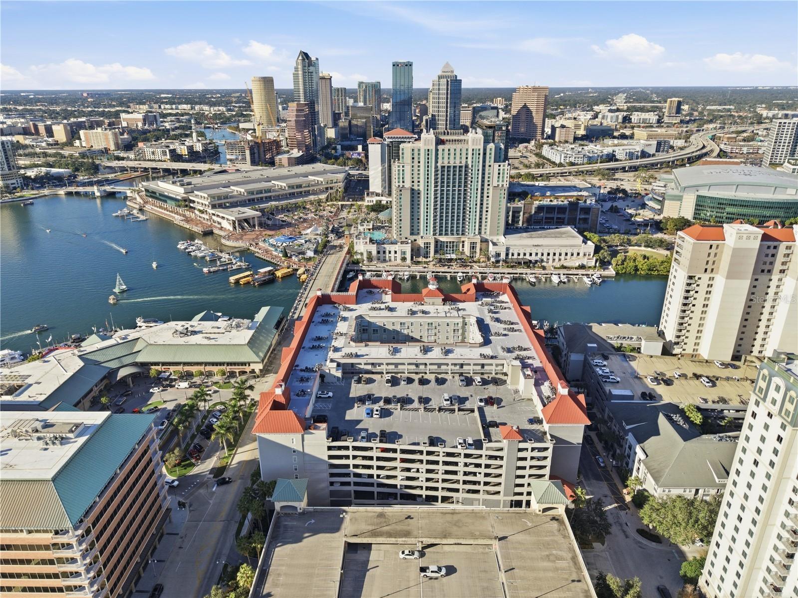 700 S Harbour Island Boulevard #240 Tampa FL 33602 TB8458340 image36
