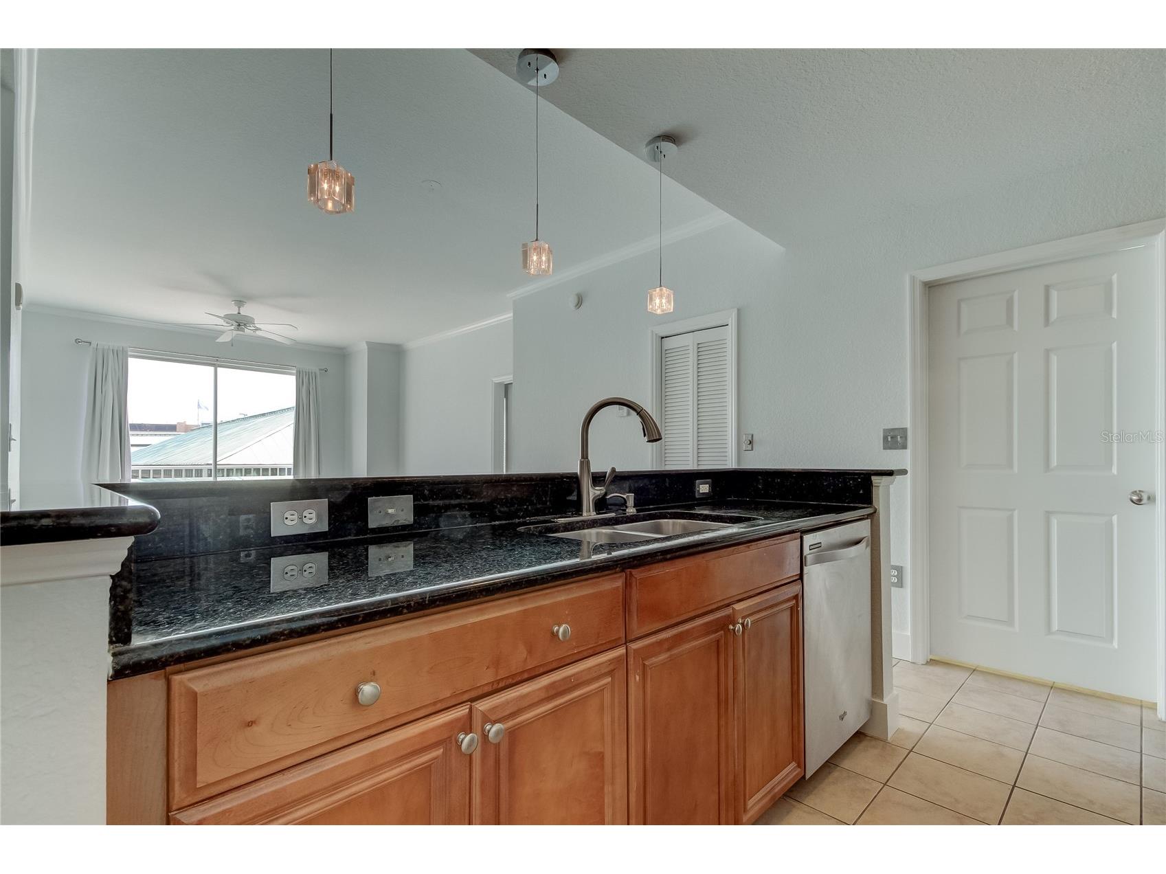 700 S Harbour Island Boulevard #309 Tampa FL 33602 TB8507910 image10