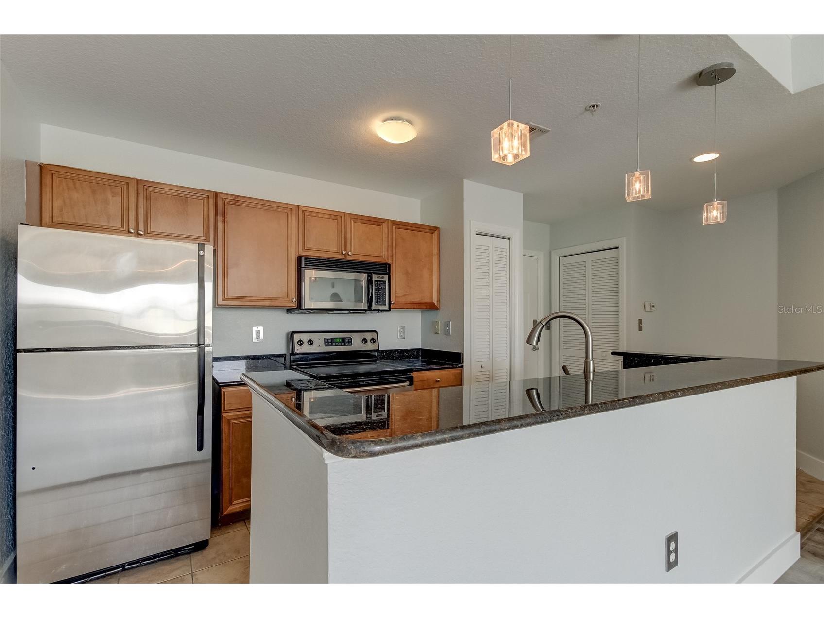 700 S Harbour Island Boulevard #309 Tampa FL 33602 TB8507910 image20
