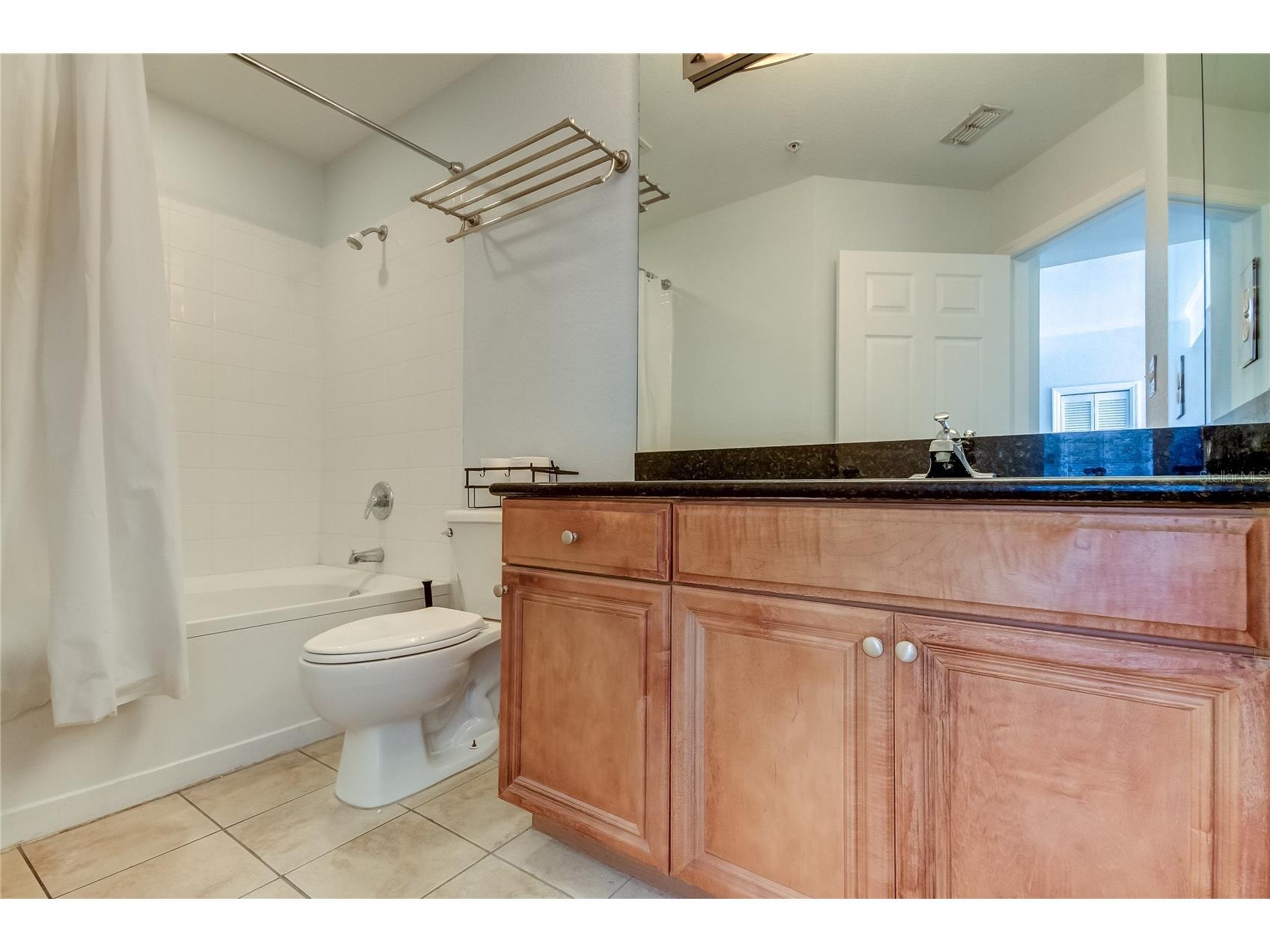 700 S Harbour Island Boulevard #309 Tampa FL 33602 TB8507910 image21