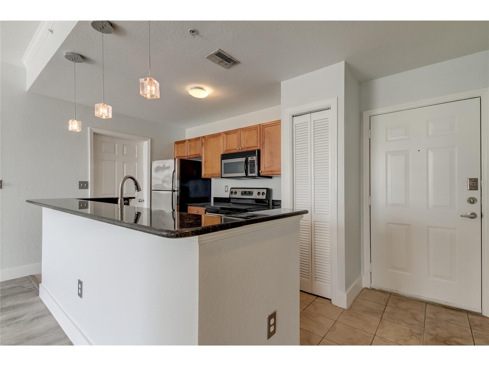 700 S Harbour Island Boulevard #309 Tampa FL 33602 TB8507910 image3