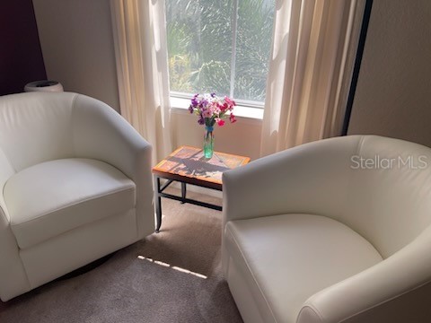 700 S Harbour Island Boulevard #324 Tampa FL 33602 W7884187 image14
