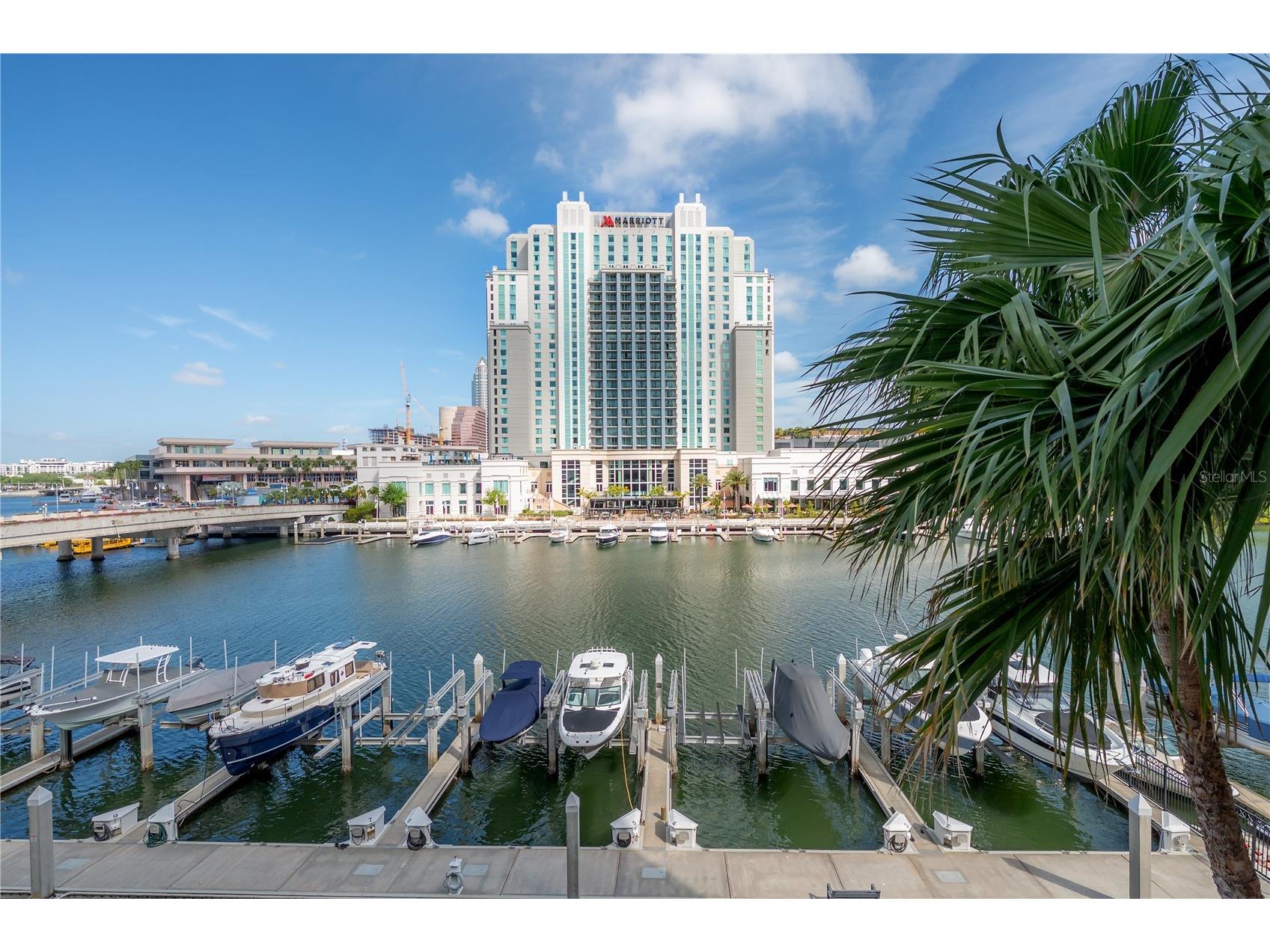 700 S Harbour Island Boulevard #329 Tampa FL 33602 - GARRISON CHANNEL TB8487525 image6