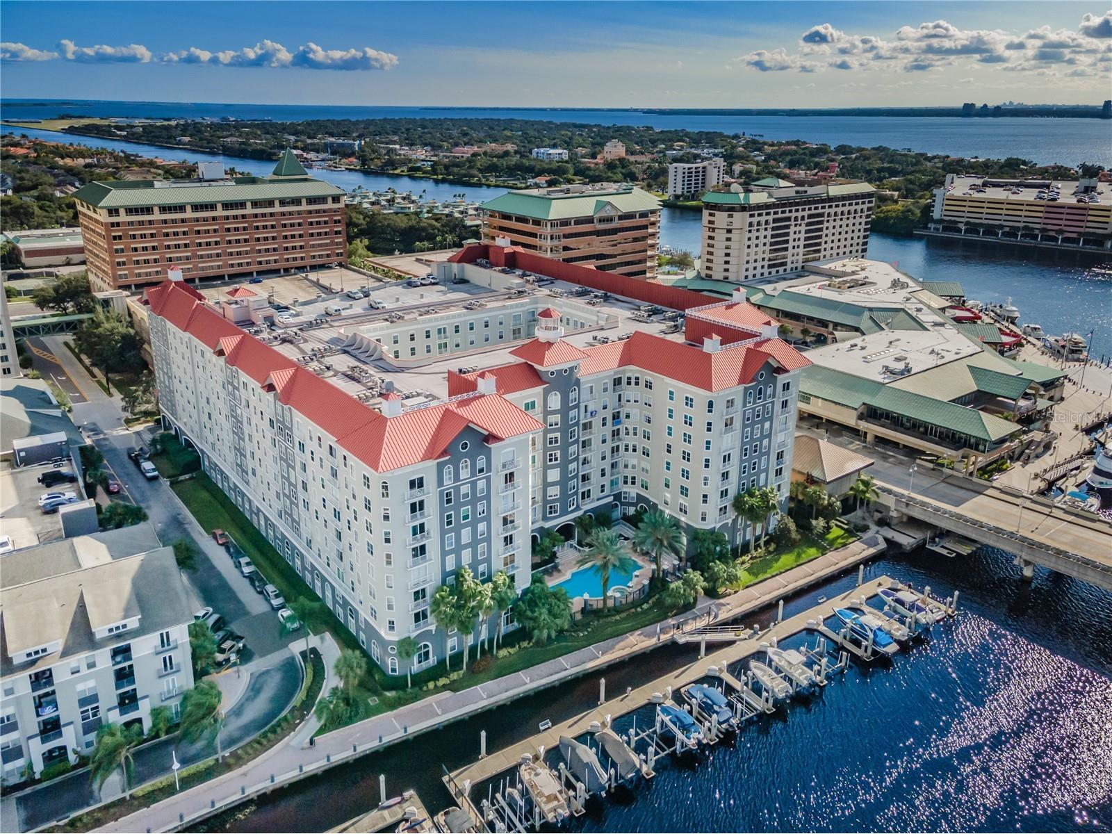 700 S Harbour Island Boulevard #401 Tampa FL 33602 TB8480527 image2