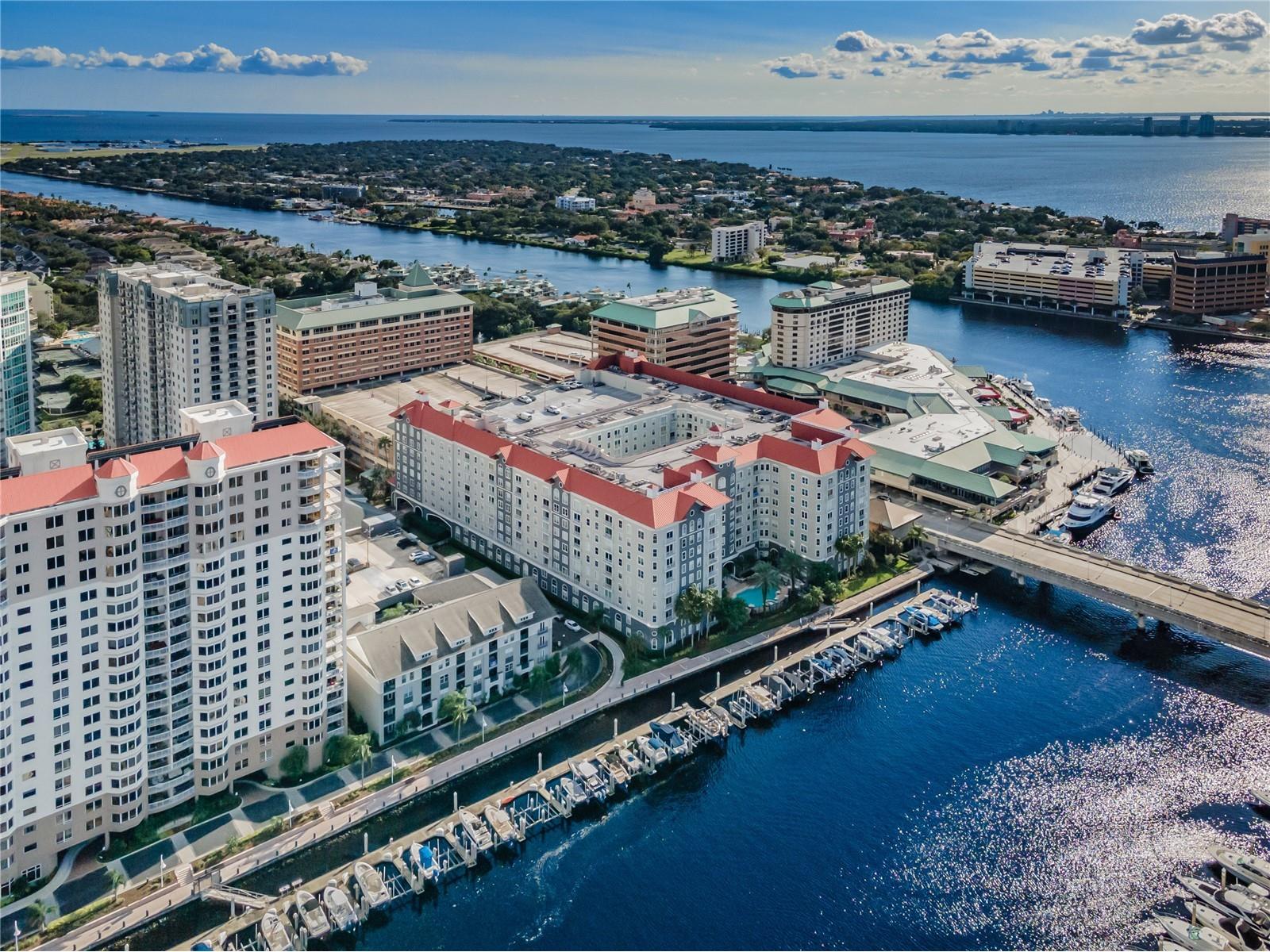 700 S Harbour Island Boulevard #401 Tampa FL 33602 TB8480527 image53