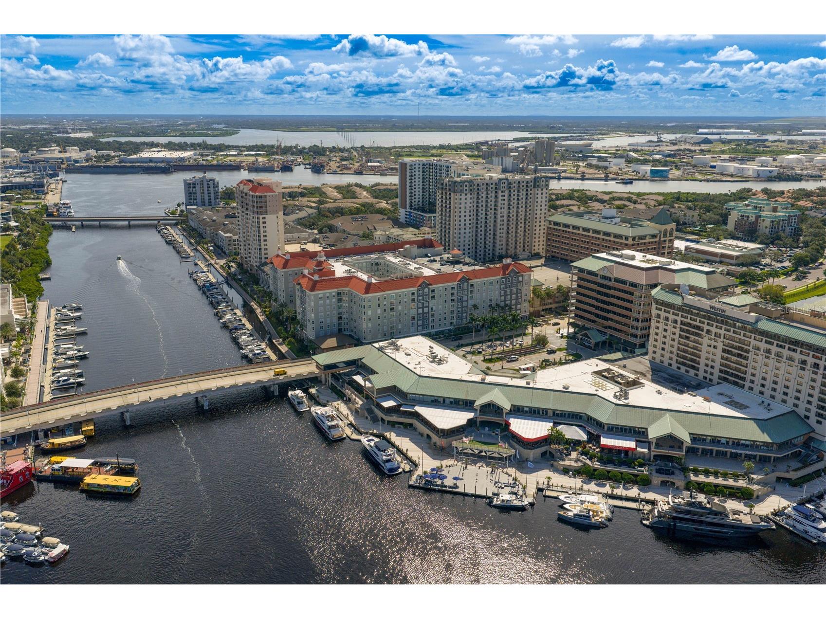 700 S Harbour Island Boulevard #401 Tampa FL 33602 TB8480527 image55