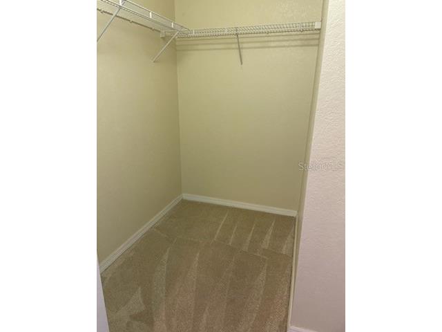 700 S Harbour Island Boulevard #407 Tampa FL 33602 W7876923 image12