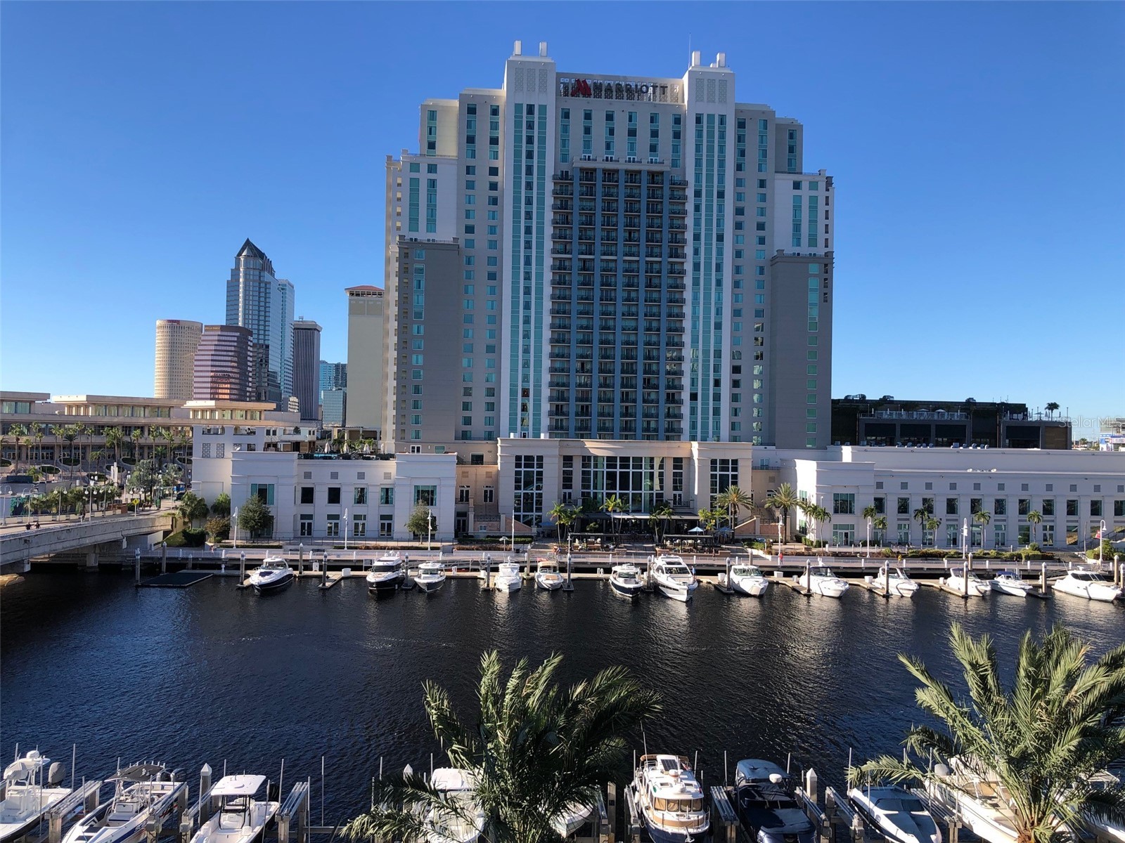 700 S Harbour Island Boulevard #523 Tampa FL 33602 - GARRISON CHANNEL TB8529708 image1