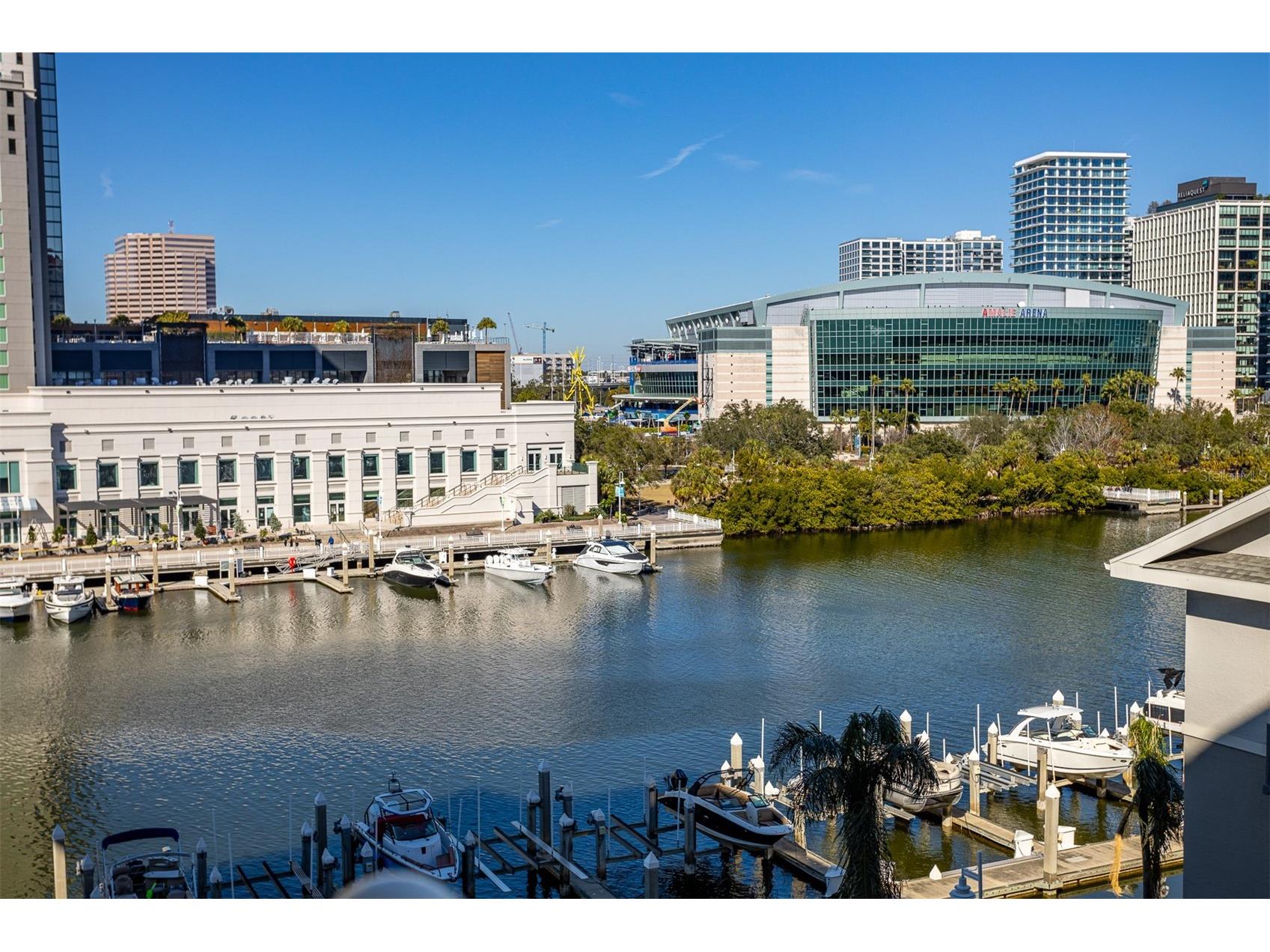 700 S Harbour Island Boulevard #532 Tampa FL 33602 TB8471853 image20