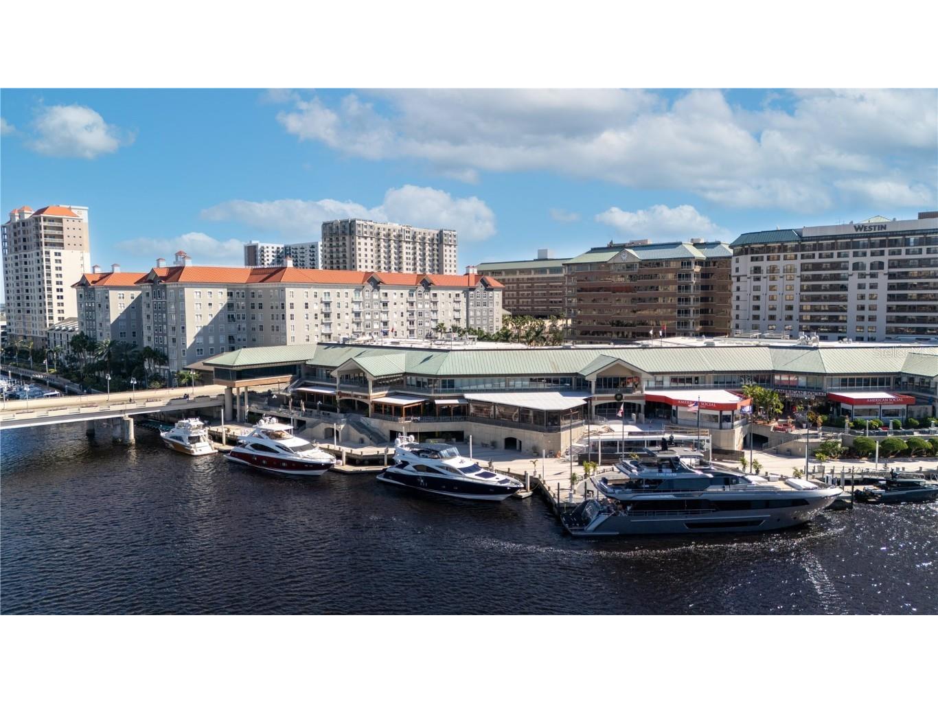 700 S Harbour Island Boulevard #645 Tampa FL 33602 TB8448497 image38