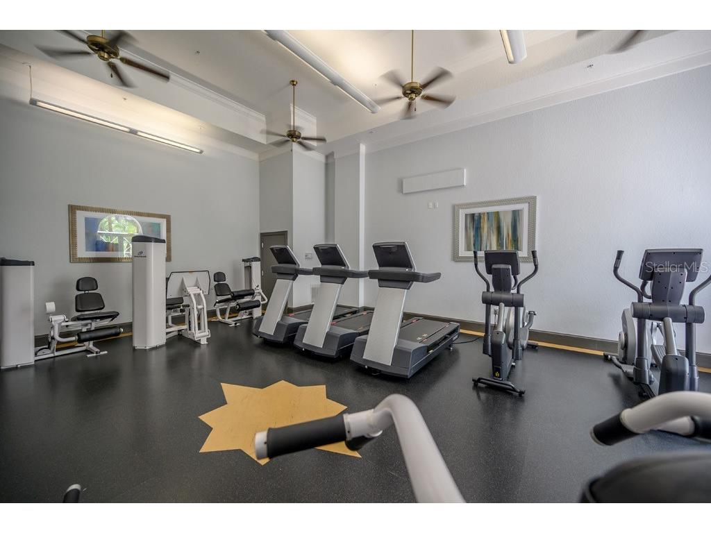 700 S Harbour Island Boulevard #713 Tampa FL 33602 - GARRISON & SEDDON CHANNELS TB8522777 image42