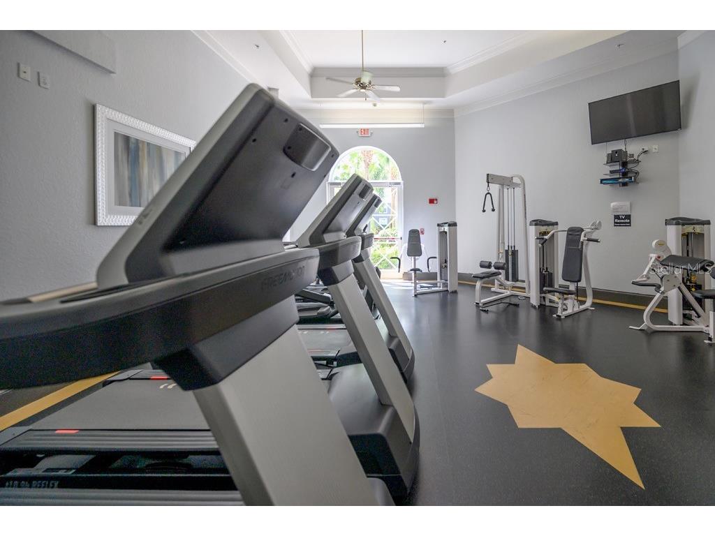 700 S Harbour Island Boulevard #713 Tampa FL 33602 - GARRISON & SEDDON CHANNELS TB8522777 image43