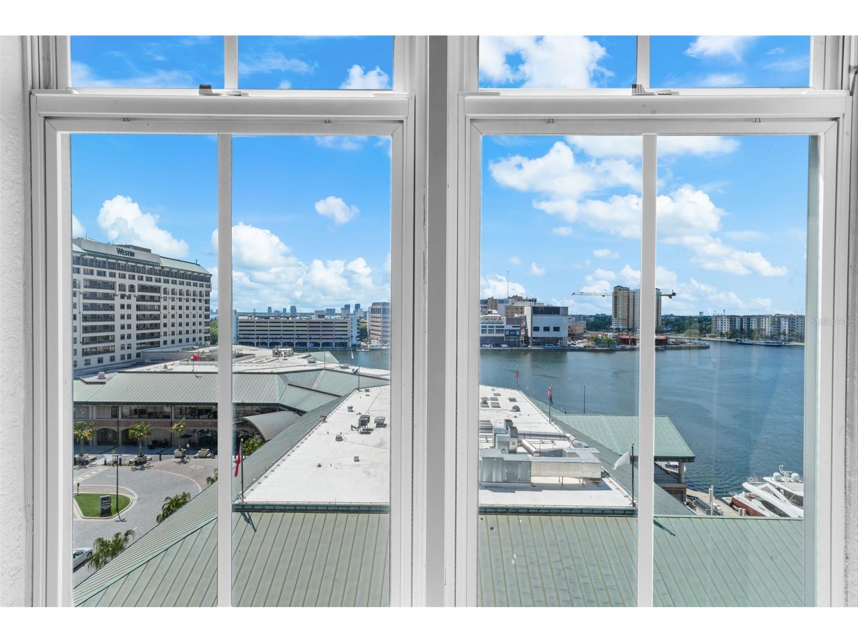700 S Harbour Island Boulevard #813 Tampa FL 33602 TB8493704 image14