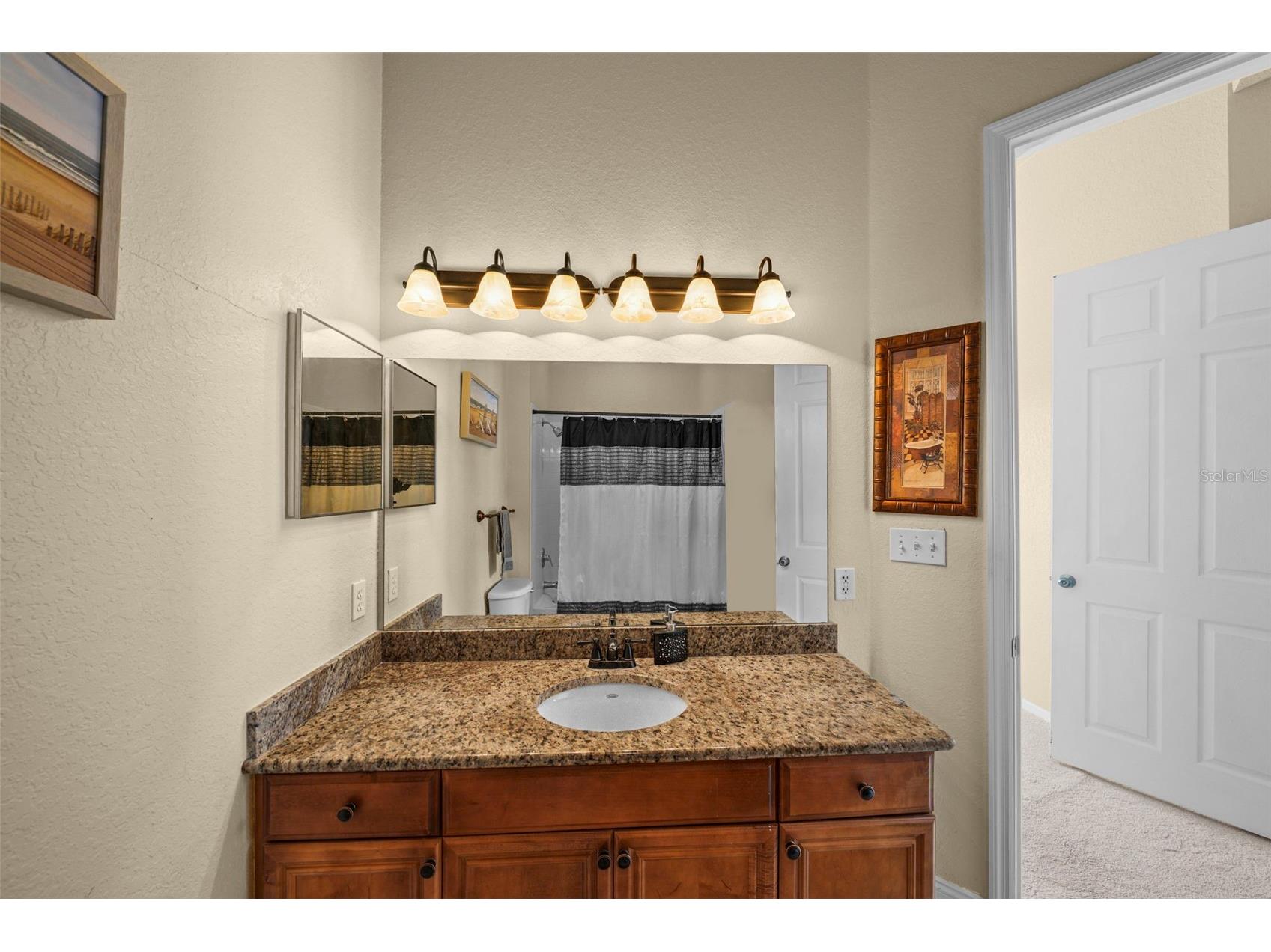 700 S Harbour Island Boulevard #813 Tampa FL 33602 TB8493704 image16