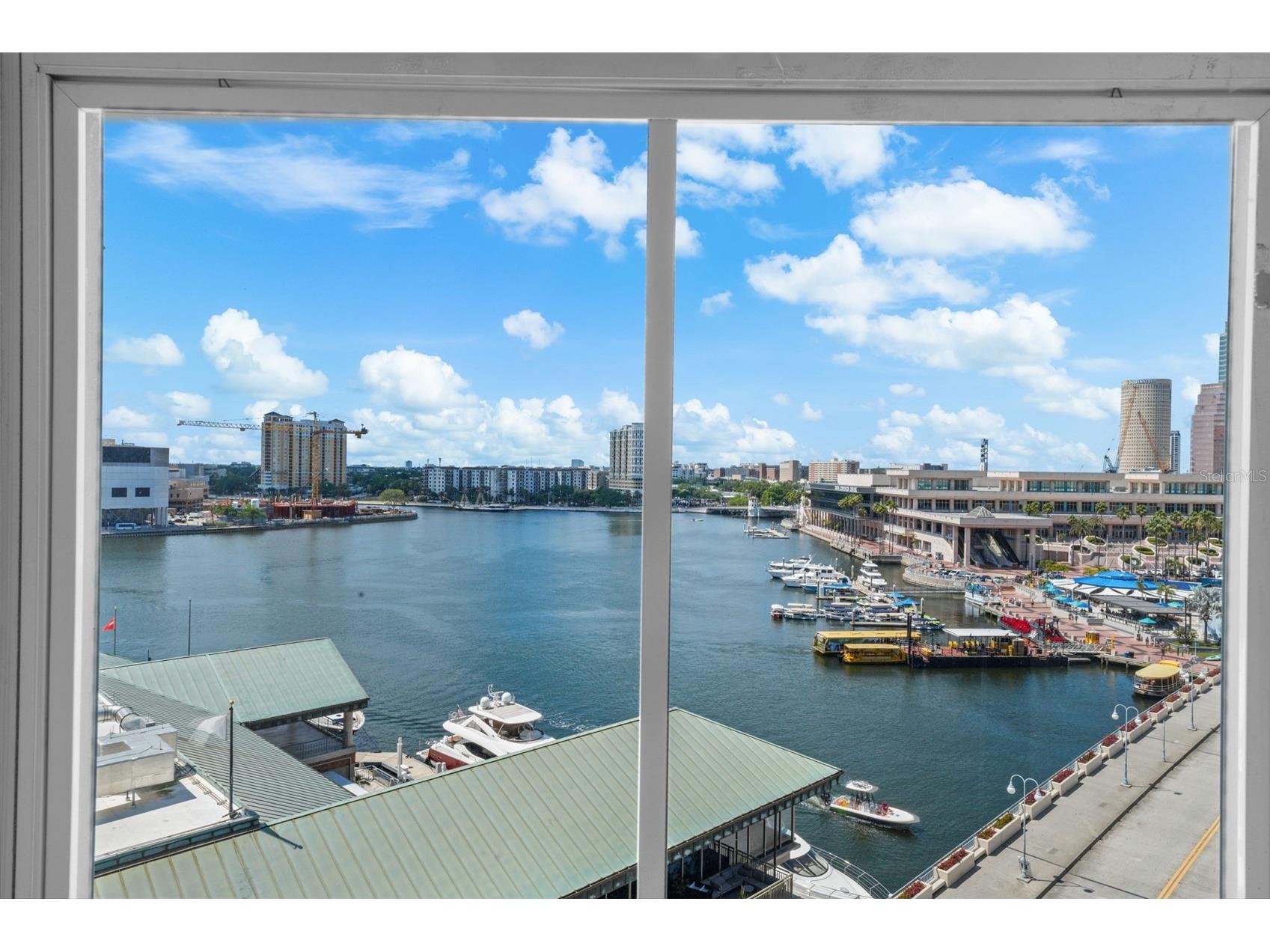 700 S Harbour Island Boulevard #813 Tampa FL 33602 TB8493704 image7