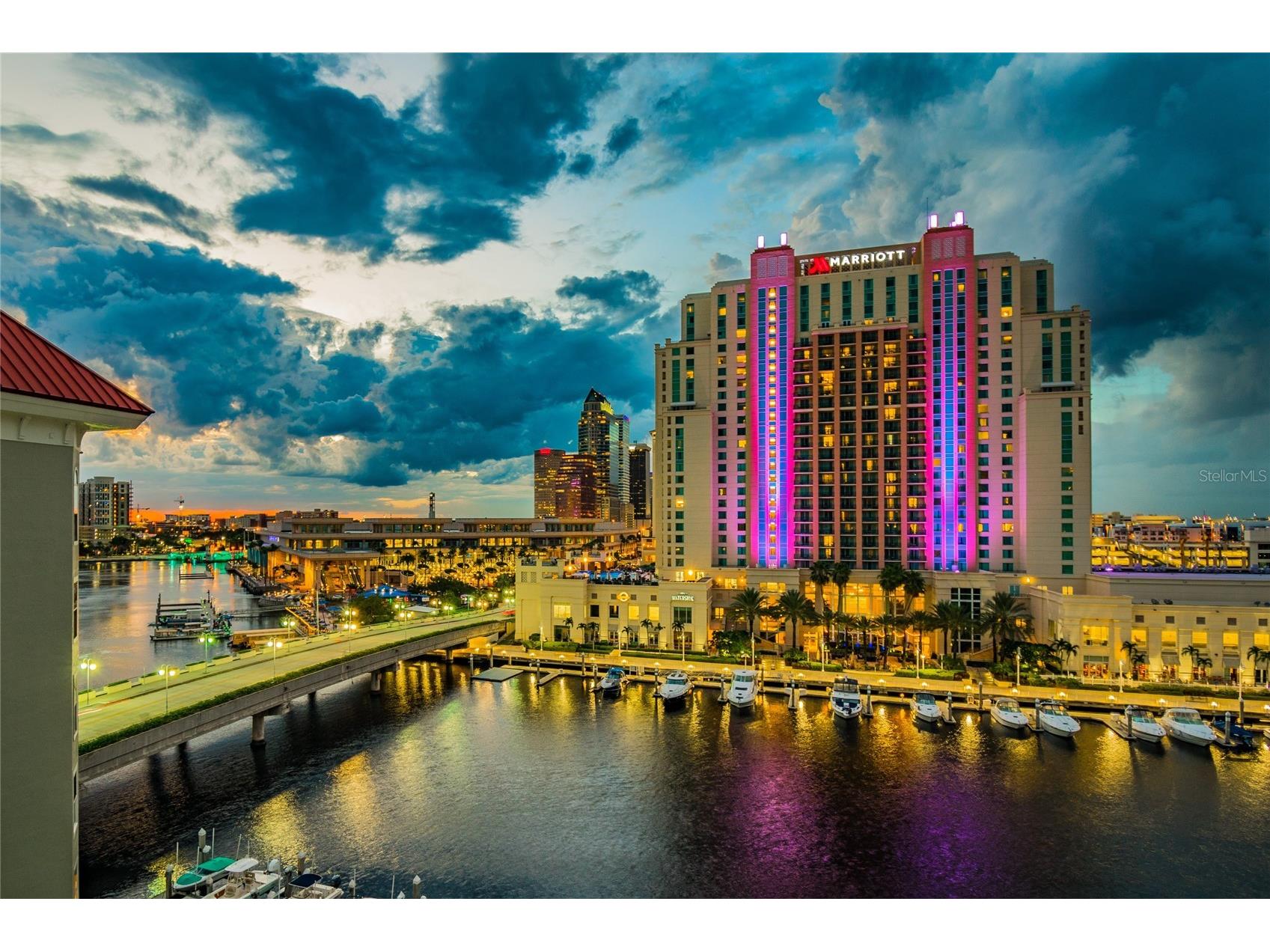 700 S Harbour Island Boulevard #822 Tampa FL 33602 TB8444031 image45