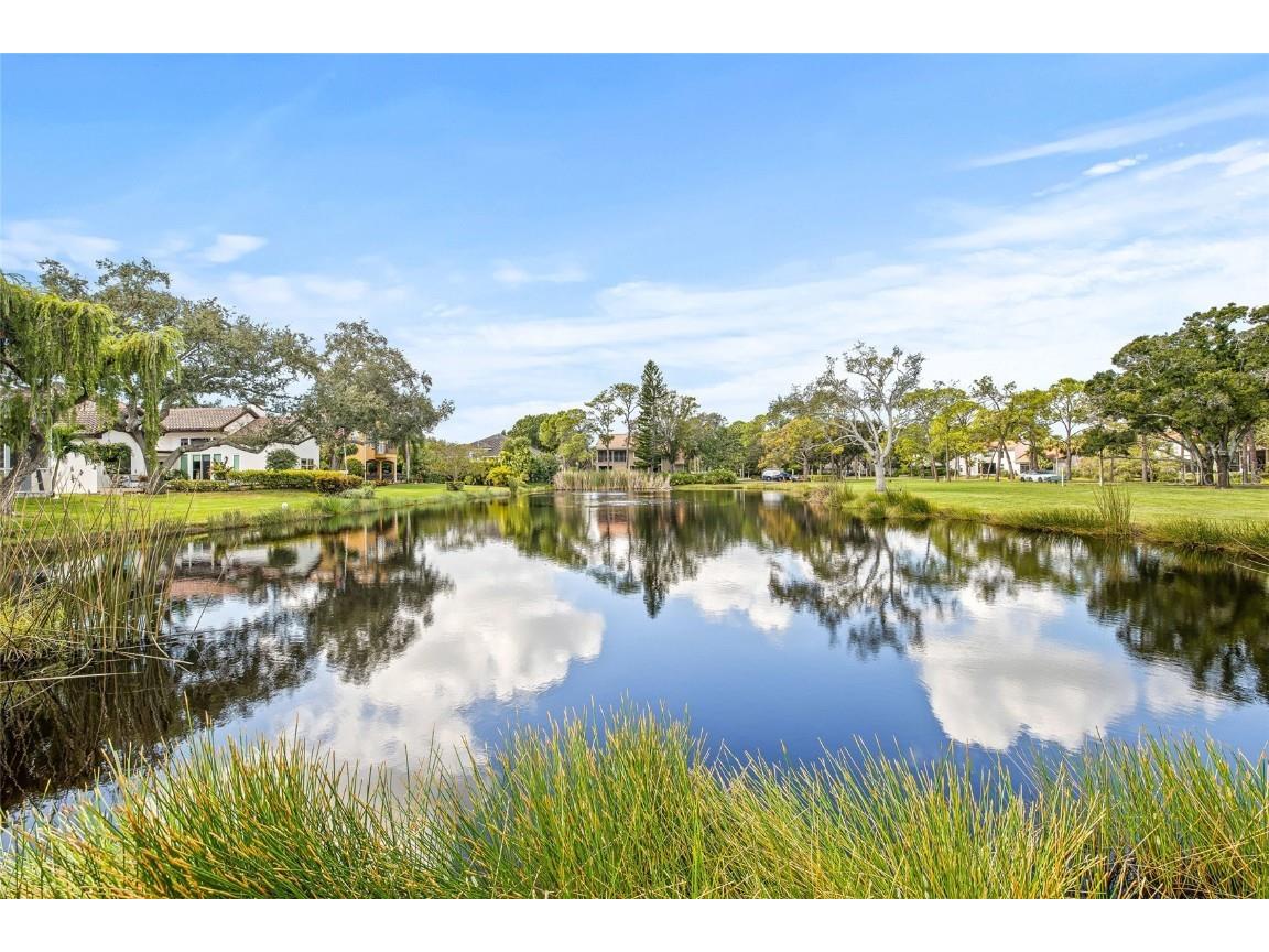 700 Sand Pine Drive NE Saint Petersburg FL 33703 TB8439552 image46