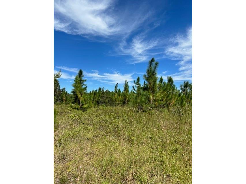 700 SE County Road 245 Lake City FL 32055 OM690964 image1