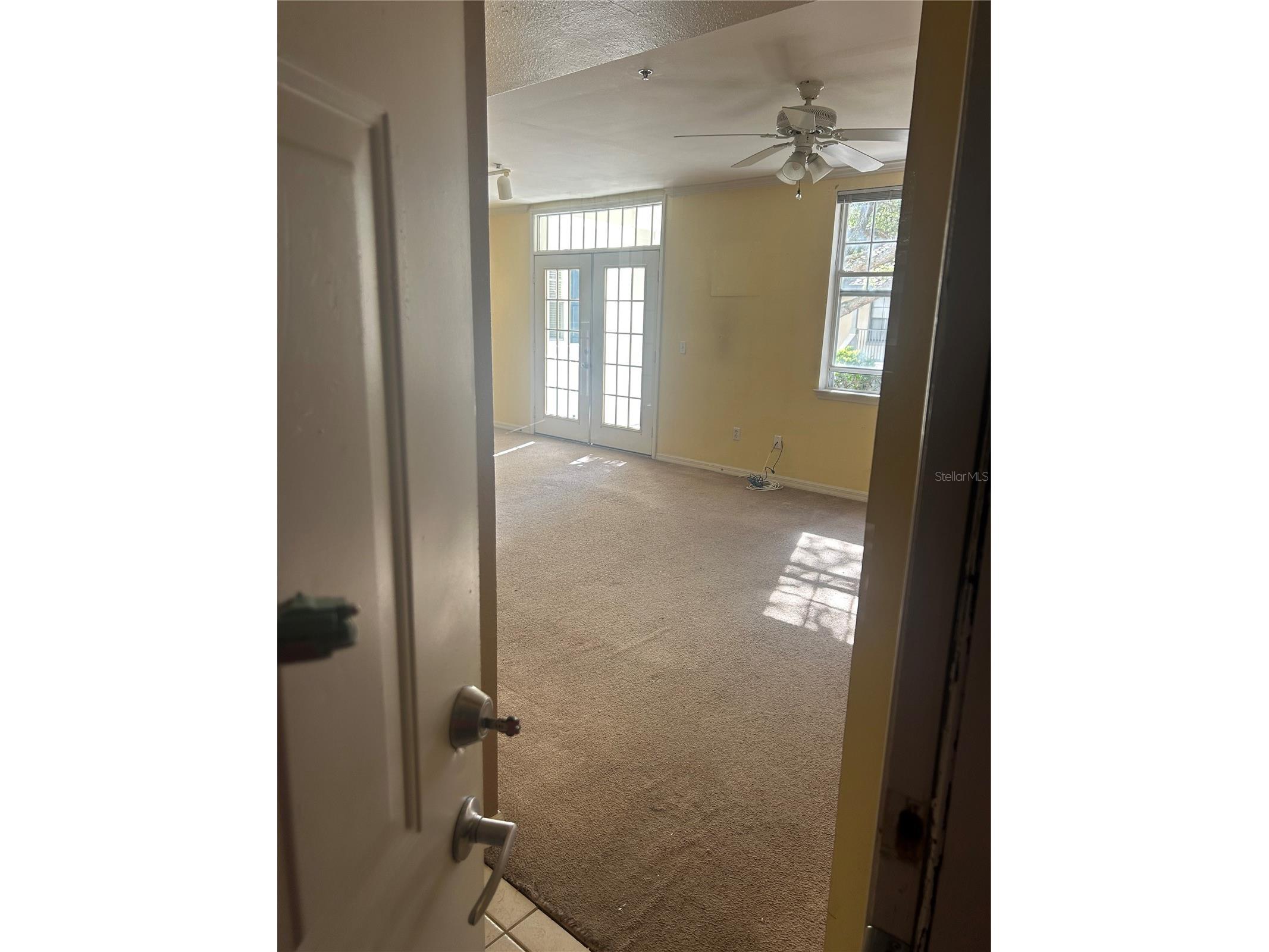 700 Siena Palm Drive #205 Celebration FL 34747 O6373217 image2