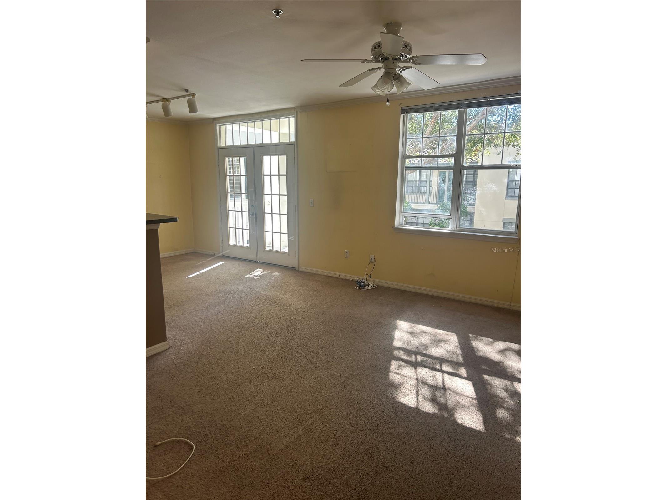 700 Siena Palm Drive #205 Celebration FL 34747 O6373217 image7